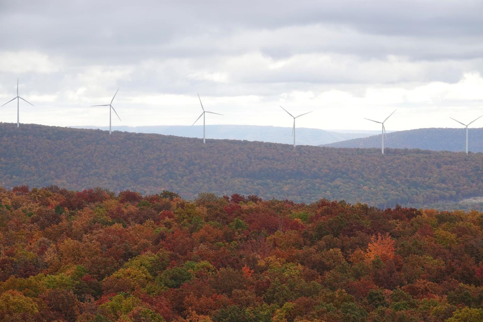 Wind turbines along forested ridges in autumn at Mount Storm Wind Farm in West Virginia